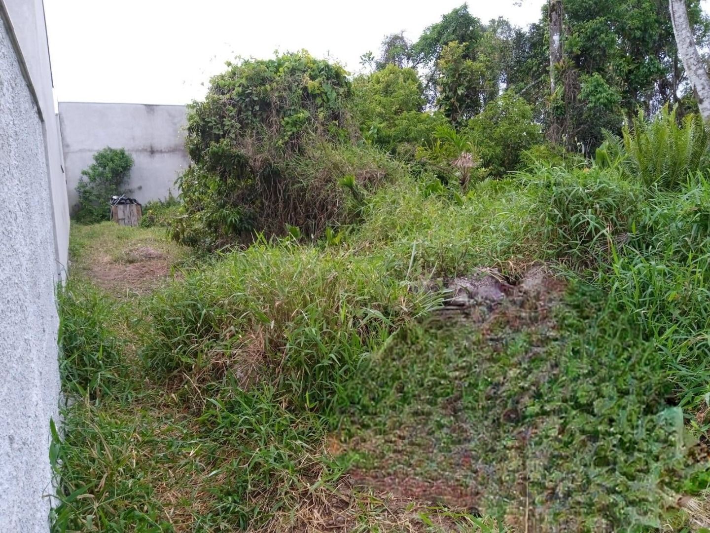 Terreno em Cambiju, Itapoá/SC de 0m² à venda por R$ 209.000,00