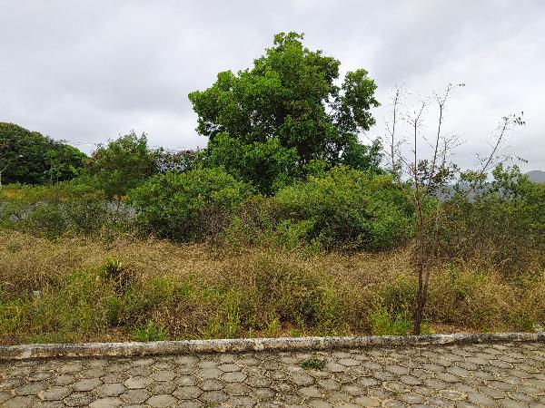 Terreno em Vila Da Serra, Grao Mogol/MG de 450m² 1 quartos à venda por R$ 43.935,00