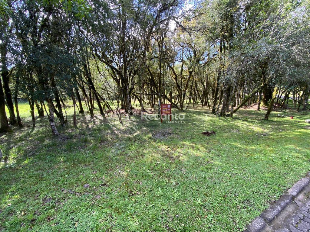 Terreno em Bosque Sinossera, Canela/RS de 931m² à venda por R$ 619.000,00