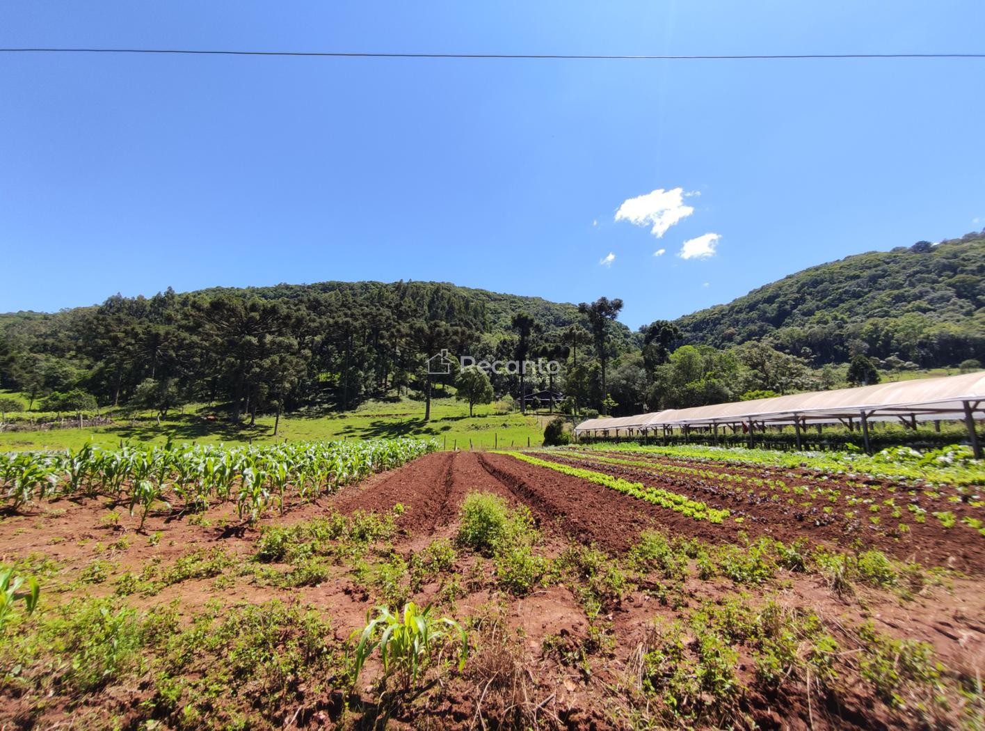 Fazenda em Estrada Linha Avila, Gramado/RS de 3m² à venda por R$ 1.849.000,00