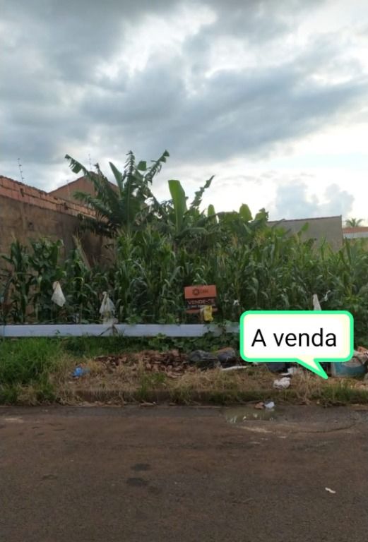 Terreno em Loteamento Gameleira, Rio Verde/GO de 0m² à venda por R$ 299.000,00