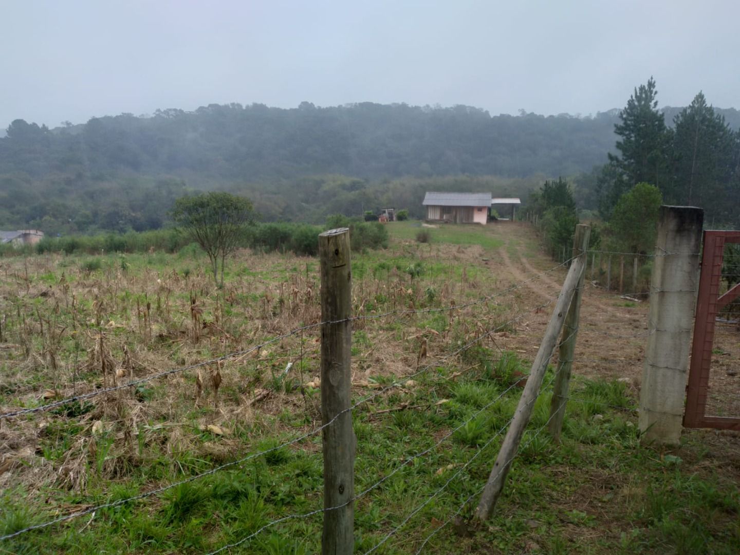 Chácara em Zona Rural, Contenda/PR de 72m² 2 quartos à venda por R$ 174.000,00