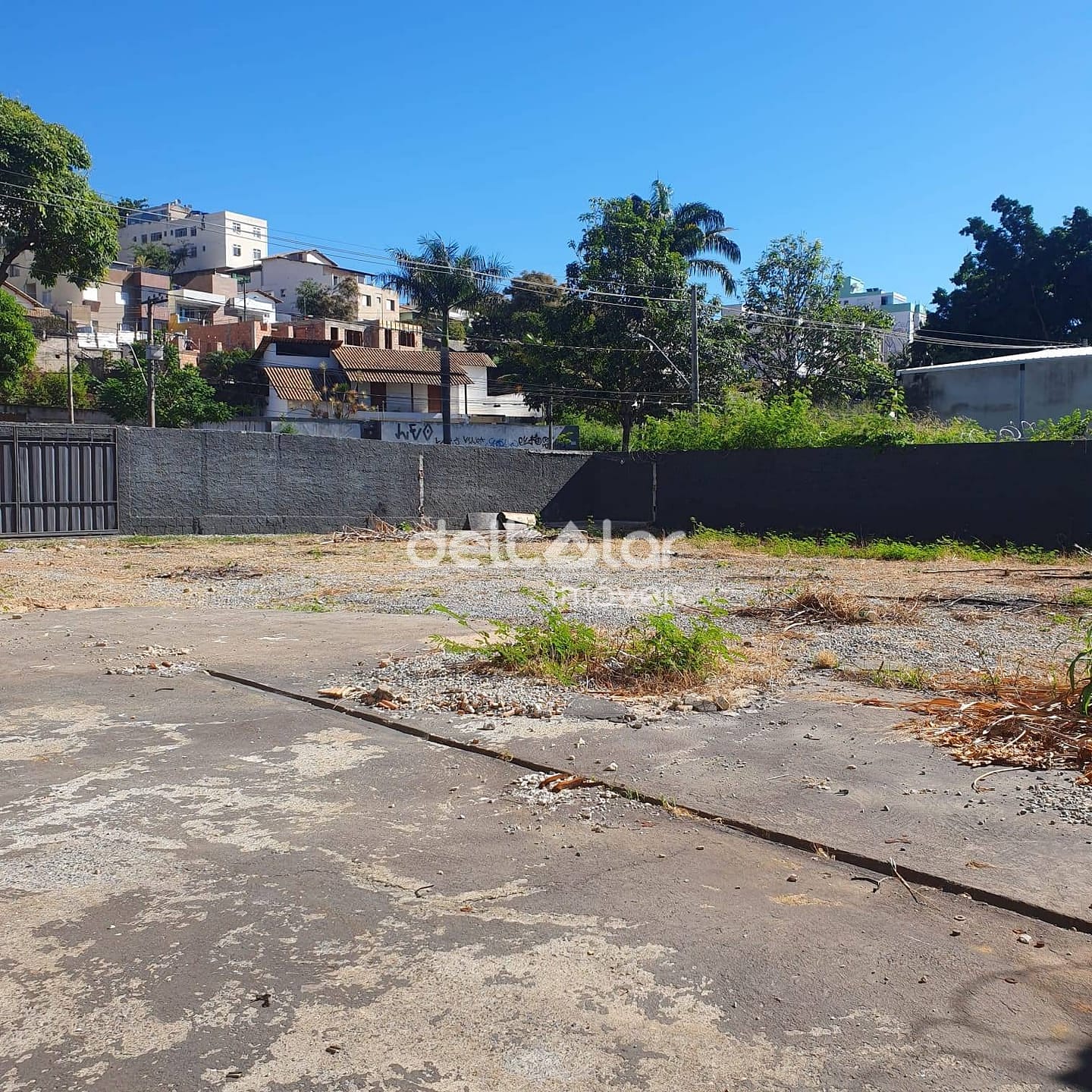 Terreno em Santa Amélia, Belo Horizonte/MG de 720m² para locação R$ 4.000,00/mes