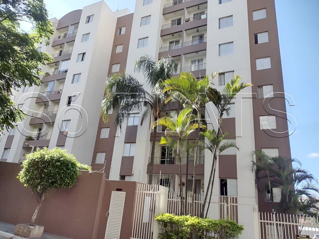 Apartamento em Vila Amélia, São Paulo/SP de 44m² 1 quartos à venda por R$ 269.000,00