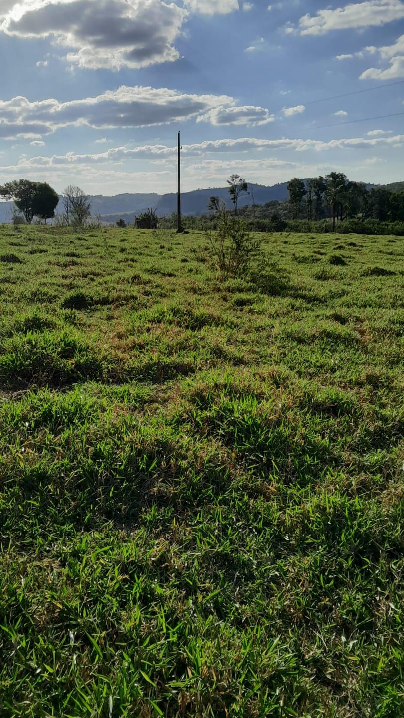 Terreno em Área Rural de Guardinha, São Sebastião do Paraíso/MG de 57000m² à venda por R$ 2.499.000,00