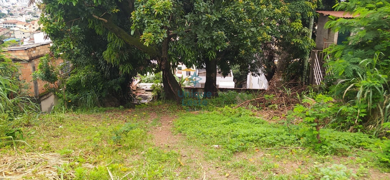 Terreno em Santa Efigênia, Belo Horizonte/MG de 10m² à venda por R$ 234.000,00